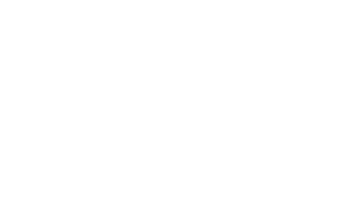 Eagle Engineering and Consulting logo