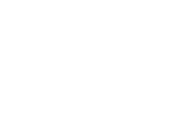 Eagle Engineering and Consulting