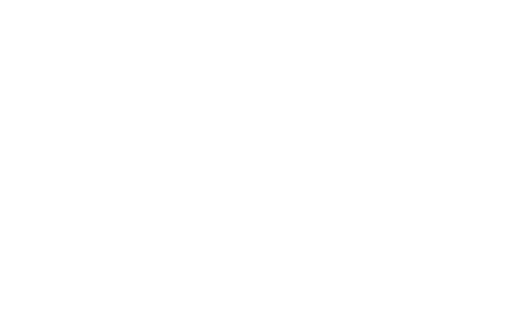 Eagle Engineering and Consulting logo